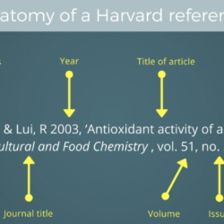 Harvard Reference Style