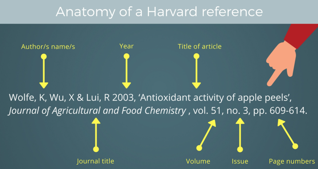 how to reference websites harvard style