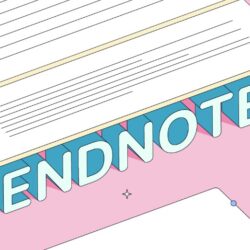 Endnotes